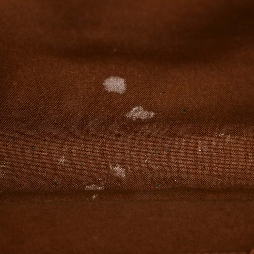 Louis Vuitton Bosphore Gm #250540L45B - Picture 9 of 12